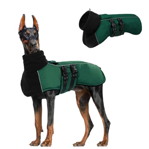 CITÉTOILE Hundemantel Winter Warmer, Hundejacke mit Hohem Kragen und Reflektierenden Streifen, Wasserdichter Wintermantel Hund mit Doppelschnalle und Klettverschluss, Grün, 2XL von CITÉTOILE