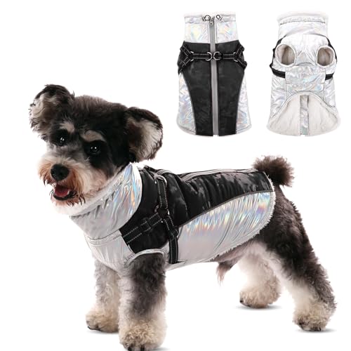 CITÉTOILE Warmer Hundemantel mit Geschirr, Wasser & Winddichte Reflektierender Winter-Hundebekleidung für Kaltes Wetter, Hundejacke mit Reißverschluss und Stehkragen für Kleine Hunde, Schwarz, XL von CITÉTOILE