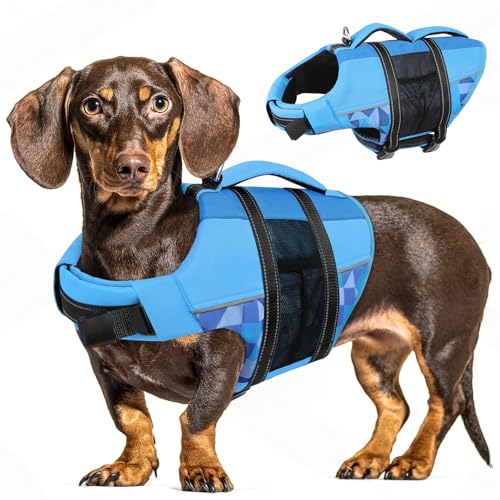 CITÉTOILE Schwimmweste Hund, Hunde Schwimmweste mit Griff und Reflektierend, Rettungsweste für Kleine Mittlere und Große Hunde mit Guter Auftrieb, Leicht und Sicher für Wassersport Blau L von CITÉTOILE