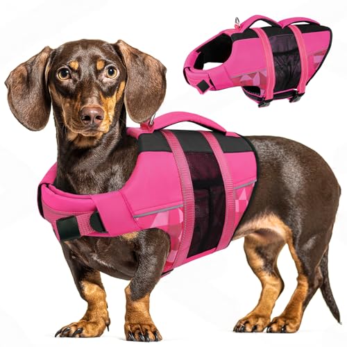 CITÉTOILE Schwimmweste Hund, Hunde Schwimmweste mit Griff und Reflektierend, Rettungsweste für Kleine Mittlere und Große Hunde mit Guter Auftrieb, Leicht und Sicher für Wassersport Rosa M CITÉTOILE Schwimmweste Hund, Hunde Schwimmweste mit Griff und Reflektierend, Rettungsweste für Kleine Mittlere und Große Hunde mit Guter Auftrieb, Leicht und Sicher für Wassersport Rosa M von CITÉTOILE