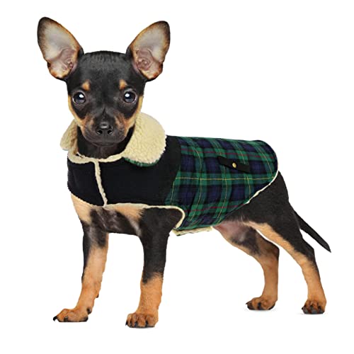 CITÉTOILE Warme Hundemantel Fleece, Wintermantel Winterjacken für Kleine/Große/Mittlere Hunde, Hundejacke Hundekleidung Hundepullover mit Geschirrloch für Outdoor Indoor, Grün, L von CITÉTOILE