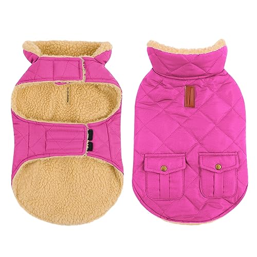 CITÉTOILE Wasserdicht Hundemantel, Warme Wintermantel Winterjacken mit Fleece für Chihuahua Dackel, Hundejacke Hundekleidung Hundepullover Dog Coat für Kleine/Große/Mittlere Hunde, Rosa, S von CITÉTOILE