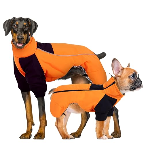 CITÉTOILE Winter Hundemantel, Hunde Wasserdichter Wintermantel, Outdoor Hundejacke mit Reflektierender Streifen, Winterwarme Hundekleidung mit Selbsterwärmender Innenstoff, Orange, L von CITÉTOILE