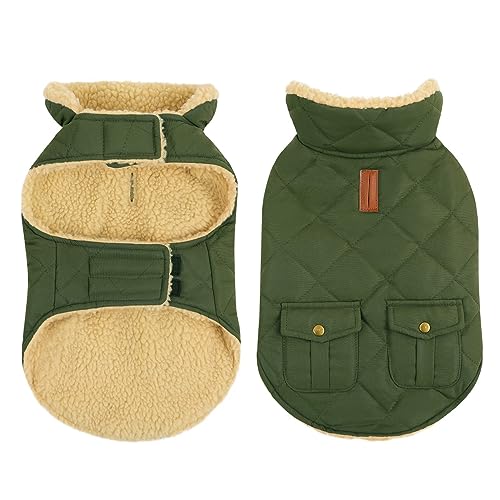 CITÉTOILE Wintermantel Hundemantel, Warme Winterjacken mit Fleece für Hunde,Hundejacke Hundekleidung Hundepullover Dog Coat mit Geschirr Loch für Chihuahua Dackel, Grün, M von CITÉTOILE