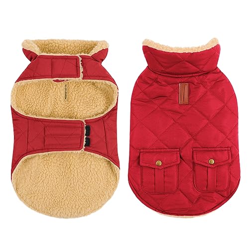 CITÉTOILE Wintermantel Hundemantel, Warme Winterjacken mit Fleece für Hunde,Hundejacke Hundekleidung Hundepullover Dog Coat mit Geschirr Loch für Chihuahua Dackel, Rot, L von CITÉTOILE