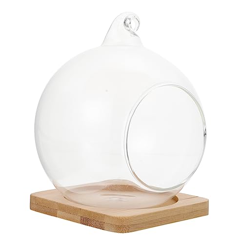 CIYODO 1 Stück Hängendes Mikrolandschafts Terrarium mit Bamboo Unterlage DIY Deko Flasche für Pflanzen Sukkulenten und Miniaturfiguren für Kreative Wohnraumgestaltung CIYODO 1 Stück Hängendes Mikrolandschafts Terrarium mit Bamboo Unterlage DIY Deko Flasche für Pflanzen Sukkulenten und Miniaturfiguren für Kreative Wohnraumgestaltung von CIYODO