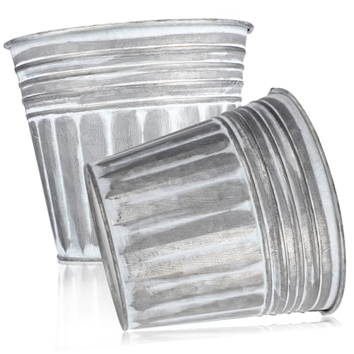 CIYODO 2 Stück Galvanisierter Kleiner Eisen Pflanztopf Stapelbar Kratzfest Rund Vielseitig für Gartenpflanzen Blumen Sukkulenten Dekorativer Vintage Metall Blumentopf Platzsparend CIYODO 2 Stück Galvanisierter Kleiner Eisen Pflanztopf Stapelbar Kratzfest Rund Vielseitig für Gartenpflanzen Blumen Sukkulenten Dekorativer Vintage Metall Blumentopf Platzsparend von CIYODO