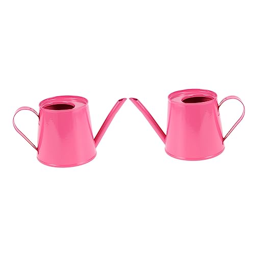 CIYODO 2 Stück Garten Eisengießkanne Blumentopf Dekorativ Robust Für Zimmerpflanzen Terrasse Und Außenbereich Rosa CIYODO 2 Stück Garten Eisengießkanne Blumentopf Dekorativ Robust Für Zimmerpflanzen Terrasse Und Außenbereich Rosa von CIYODO