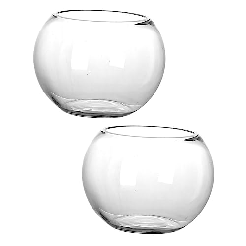 CIYODO 2 Stück Terrarium Glasbehälter für Hydroponik Pflanzen Runde Landschaftsflasche für Sukkulenten und Landschaften Robustes und Leichtes Design CIYODO 2 Stück Terrarium Glasbehälter für Hydroponik Pflanzen Runde Landschaftsflasche für Sukkulenten und Landschaften Robustes und Leichtes Design von CIYODO