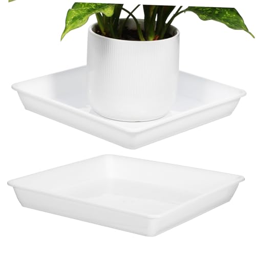 CIYODO 2 Stück Pflanzentropfschalen Kunststoff Quadratische Untersetzer für Blumentöpfe Drainage Tabletts für und Außenbereich Einfach zu Reinigen und Langlebig CIYODO 2 Stück Pflanzentropfschalen Kunststoff Quadratische Untersetzer für Blumentöpfe Drainage Tabletts für und Außenbereich Einfach zu Reinigen und Langlebig von CIYODO