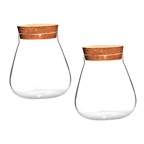 CIYODO 2 Stücke Kork Glas Flasche Kaffee Luftdichten Behälter Glas Bonbongläser Hydrokultur Pflanzen Glas Terrarium Mittelstück Pflanzenvase Glasflaschen Mit Stopfen Landschaft Glas Mehl von CIYODO