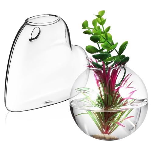 CIYODO 2 Stück Wandpflanzgefäße Terrarium Pflanzenhalter Borosilikatglas Transparente Hängende Anzuchtstation für Zimmerpflanzen Einfach zu Montieren Kratzfest und Langlebig CIYODO 2 Stück Wandpflanzgefäße Terrarium Pflanzenhalter Borosilikatglas Transparente Hängende Anzuchtstation für Zimmerpflanzen Einfach zu Montieren Kratzfest und Langlebig von CIYODO
