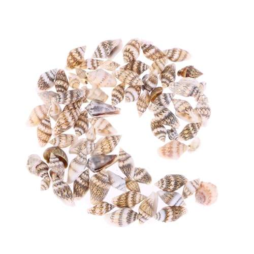 CIYODO 50 Stück Kleine Muscheln Naturlich Heimdekoration Aquarium Zubehor Muscheln Zum Basteln von CIYODO
