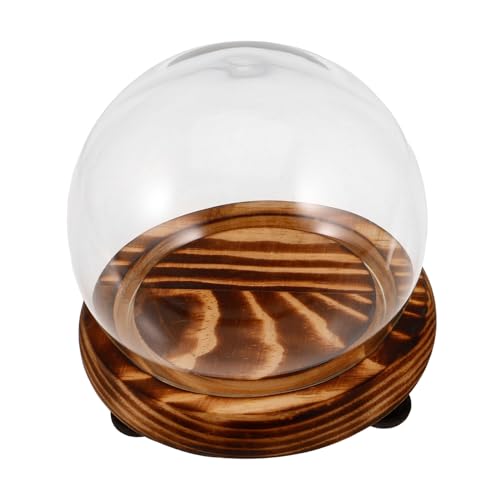CIYODO Glaskuppel mit Holzboden Durchmesser Transparente Glasglocke als Dekorative Vitrine Staubdichte Cloche für Ewige Blumen Landschaften und Lebensmittelpräsentation von CIYODO