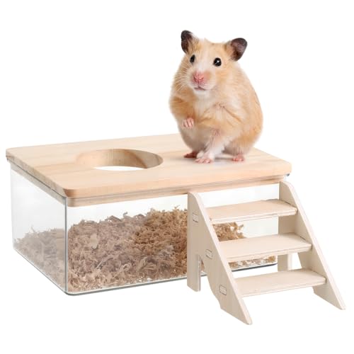 CIYODO Hamster Sandbad mit Sicherem Lüftungsdeckel Transparenter Kleintier Badesandbehälter Staubdichte Hamsterstreu Box mit Leiter Kleines Haustier Badehaus für Saubere Fellpflege von CIYODO