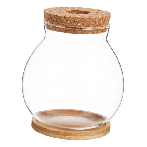 CIYODO Kleines Hydroponisches Aquarium mit Holzdeckel Mini Terrarium Fischschale Klarglas Fischbecken für Betta Schreibtisch Dekoration Zuhause und Büro Einfach zu Reinigen Design von CIYODO