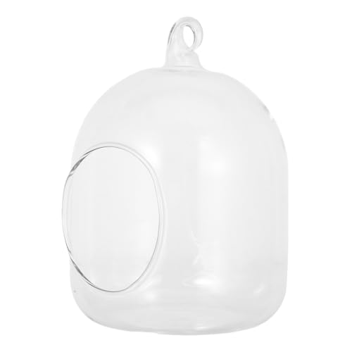 CIYODO Moss Terrarium Glasflasche Rundes Mini DIY Pflanzengefäß für Sukkulenten Luftpflanzen Wohnzimmer Bürodekoration Pflegeleicht Tragbar von CIYODO