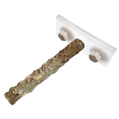 CIYODO Vogel sitzstange mit Saugnapf für Papageien und Kleine Vögel Einfach zu Montierender Standplatz für Bad und Fenster Fördert Bewegung und Natürliche Sonnenbestrahlung Geeignet für von CIYODO