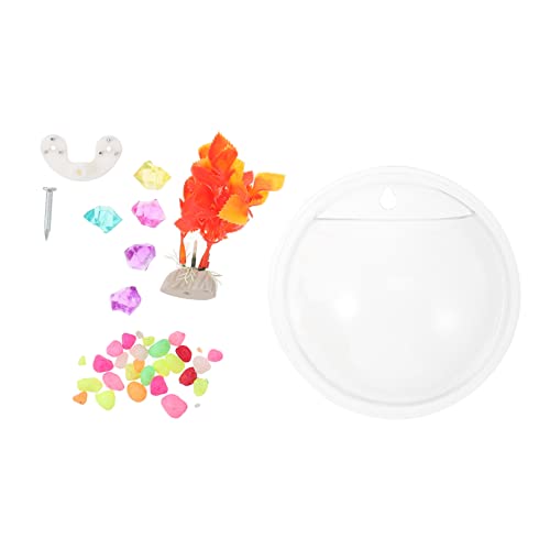 CIYODO Wandmontierter Dekorativer Fischbehälter Transparent Durchmesser Kreativer Aquarium Topf für Pflanzen und Fische Stilvolle Wandvase zur Raumverschönerung Zufällige Zufällige Farbe von CIYODO