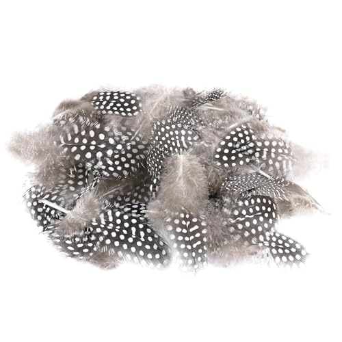 100 Stück Natürliche Perlhuhnfedern zum Basteln in verschiedenen Größen 5 bis 10 cm Perfekt für DIY Projekte Ohrringe Traumfänger und Hochzeitsdekorationen,Natürliche Farbe von CJMUQHEHH