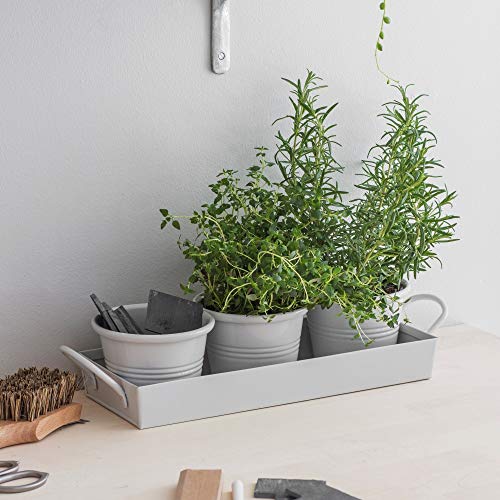 CKB Ltd Set mit 3 Töpfen auf Tablett Metall Vintage Fensterbank Pflanzkasten für die Küche Züchten Sie Ihre eigenen Kräuter zum Kochen - Traditionelle Farbe (Chalk) von CKB LTD