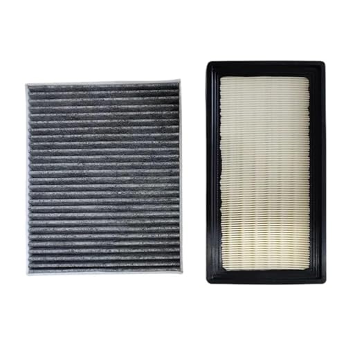Auto Klimaanlage Filter für Chery Exeed Exeed TXL 2020 2021 1.6 DCT AWD F4J16 Entlüftungsfilter Schädliches Luftfilter Werkzeug,normal-2 Pcs Filter Set Auto Klimaanlage Filter für Chery Exeed Exeed TXL 2020 2021 1.6 DCT AWD F4J16 Entlüftungsfilter Schädliches Luftfilter Werkzeug,normal-2 Pcs Filter Set von CKLS