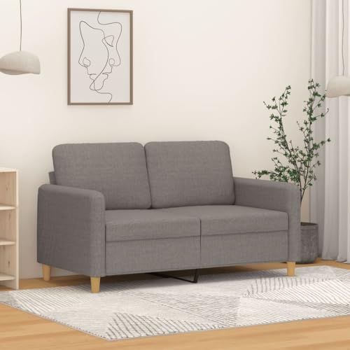 CKioict 2-Sitzer Sofa Modern mit Stabilem Metallgestell, Bequemes Polstersofa für Wohnzimmer, Langlebiger Stoff Bezug, Atmungsaktiv und Robust, Sitzbank für von CKioict