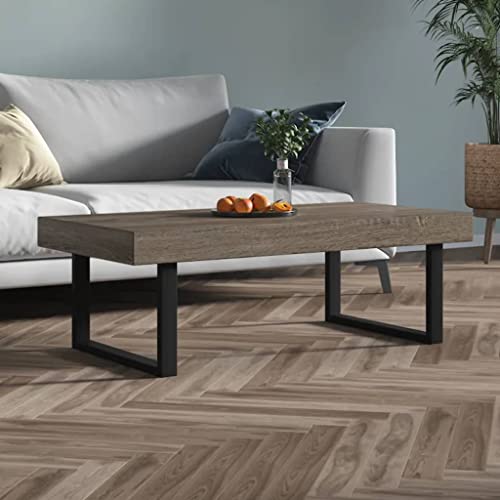 CKioict Couchtisch Grau und Schwarz Couch Tisch Coffee Table for Innenraum Wohnzimmer 120x60x40 cm MDF und Eisen von CKioict
