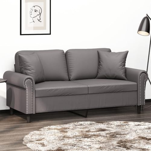 CKioict Modernes 2-Sitzer-Sofa mit Zierkissen aus strapazierfähigem Kunstleder, bequem für Entspannung und Fernsehen, Robustes Metallgestell, pflegeleicht und langlebig von CKioict