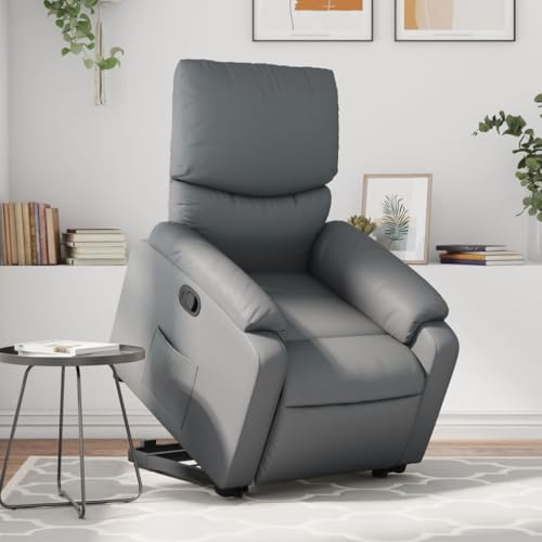 CKioict Relaxsessel mit Aufstehhilfe Grau Kunstleder Lounge Sessel cocktailsessel for Büro Innenraum von CKioict