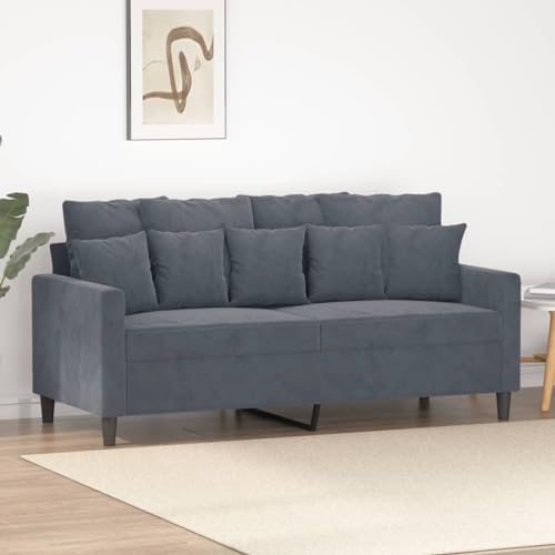 CKioict Samtsofa 2-Sitzer mit Metallgestell, Bequemes Polstersofa für Wohnzimmer, Modernes Velours Sofa zum Entspannen mit Stabiler Sitzbank, Grau von CKioict