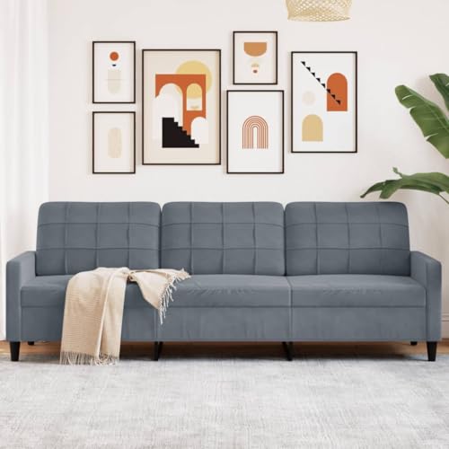 CKioict Samtsofa 3-Sitzer mit Metallgestell, Bequemes Velours Sofa für Wohnzimmer, Modernes Design Sofa mit Polsterung für Entspannung und Komfort von CKioict