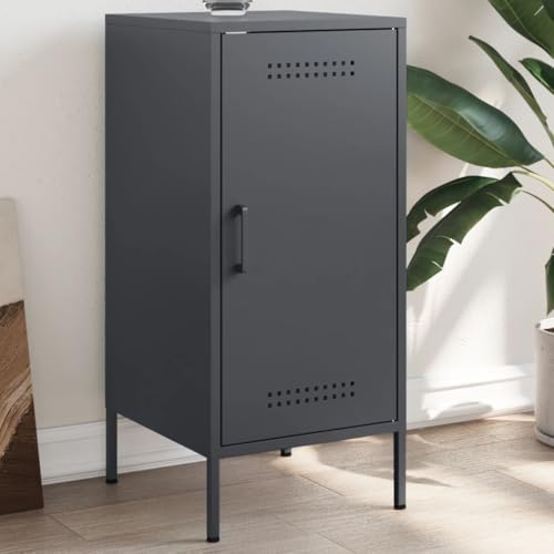 CKioict Sideboard Anthrazit Schrank kleiderschrank for Büro Schlafzimmer 36x39x79 cm Stahl von CKioict