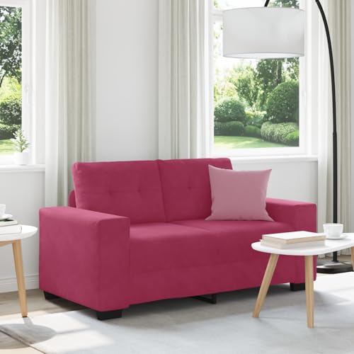 CKioict Zweisitzer-Sofa aus Samt mit gepolsterten Sitzkissen und robustem Metallgestell für Wohnzimmer, Schlafzimmer oder Arbeitszimmer – Modernes Relaxsofa mit Stil von CKioict