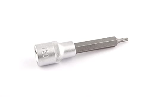 1/2" SA0273 T20 L.100mm von CLAS Equipements