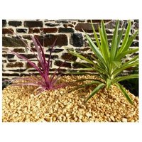 Classgarden - Kies Gelb ocre 10-20 - Pack 7 M² - 14 Säcke - 280 kg von CLASSGARDEN