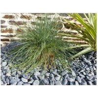 Kieselstein Mattschwarz 12-24 - Pack 20 M² - 40 Säcke - 800 kg von CLASSGARDEN