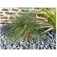 Kieselstein Mattschwarz 12-24 - Pack 15 M² - 30 Säcke - 600 kg von CLASSGARDEN