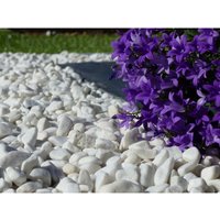 Kieselstein in glänzendem Weiß 10-15 - Pack 25 M² - 50 Säcke - 1000 kg von CLASSGARDEN