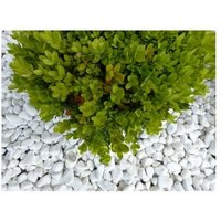 Classgarden - Kieselstein in glänzendem Weiß 12-24 - Pack 10 M² - 20 Säcke - 400 kg Kieselstein glänzendem Weiß von CLASSGARDEN