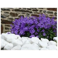 Kieselstein in glänzendem Weiß 40-60 - Sack 20 Kg von CLASSGARDEN