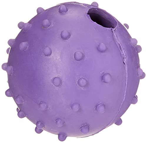 CLASSIC for Dogs Noppenball aus Gummi mit Glocke von CLASSIC