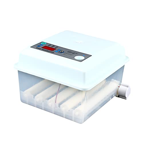 CLEADONG 16 Eier Brutautomat Vollautomatisch Inkubator, Automatischer Inkubator, Temperaturkontrolle, Ansicht Inkubator für Schlüpfen von Küken von CLEADONG