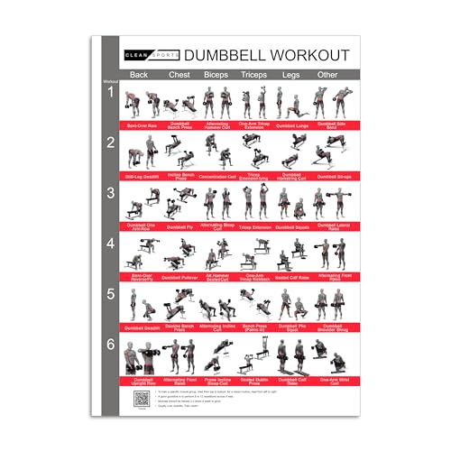 CLEAN SPORTS® Kurzhantel Workout Poster DinA1 mit sechs Ganzkörperworkouts zum Nachmachen | Dumbbell Sportposter für Hobbyraum oder Fitnesstudio (DinA1) von CLEAN SPORTS