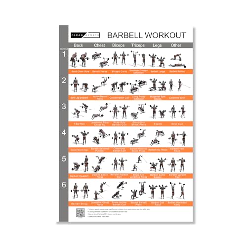 CLEAN SPORTS® Langhantel Workout Poster mit sechs Ganzkörperworkouts zum Nachmachen | Barbell Sportposter für Hobbyraum oder Fitnesstudio (Din A2) von CLEAN SPORTS