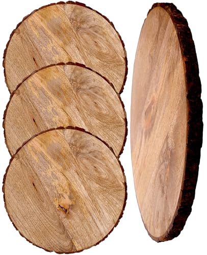 CLEENTABLE Woodn Teller Ladegerät 22,9 cm, Holzrinde Vorspeise und Speiseteller, Mittagessenteller, Rinden-Kollektion, Salatteller, Speiseteller, 4er-Set (22,9 cm Teller) von CLEENTABLE