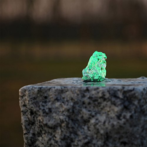 CLGarden LED Ring grün Beleuchtung für Springbrunnen Gartenbrunnen Brunnen Wasserspiel Quellstein Bachlauf Teich von CLGarden