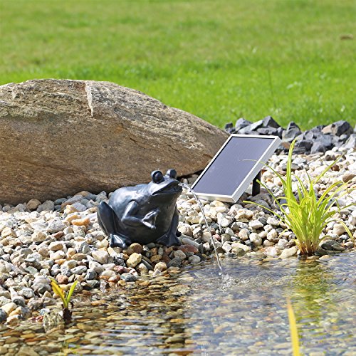 CLGarden Solar Wasserspeier Frosch NSP9 Springbrunnen für Teich mit Pumpe von CLGarden