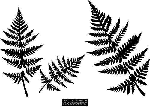 CLICKANDPRINT Aufkleber » Farne, 60x39,0cm, Schwarz • Wandtattoo/Wandaufkleber/Wandsticker/Wanddeko/Vinyl CLICKANDPRINT Aufkleber » Farne, 60x39,0cm, Schwarz • Wandtattoo/Wandaufkleber/Wandsticker/Wanddeko/Vinyl von CLICKANDPRINT