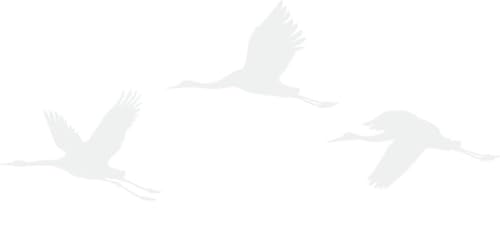 CLICKANDPRINT Aufkleber » Kraniche, 40x16,1cm, Weiß Reflektierend • Dekoaufkleber/Autoaufkleber/Sticker/Decal/Vinyl von CLICKANDPRINT
